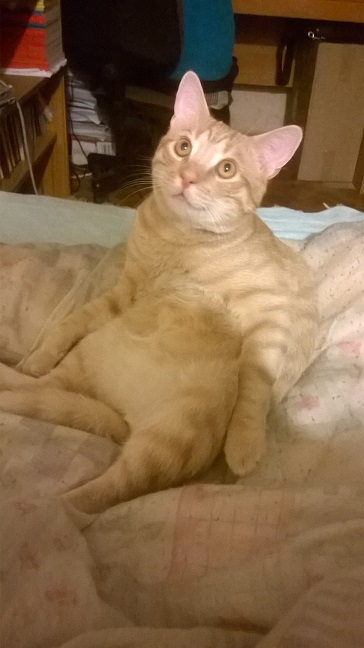 2014.07.04 - 001.jpg